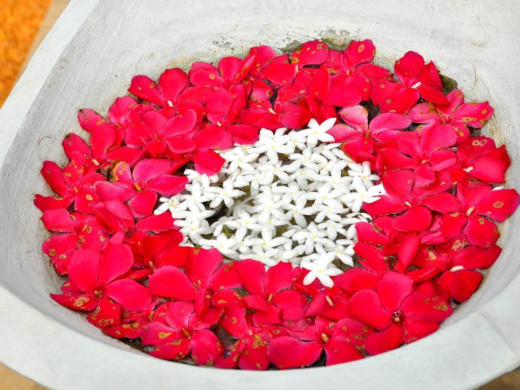 Rockery Villa Ayurveda Μπεντότα Εξωτερικό φωτογραφία
