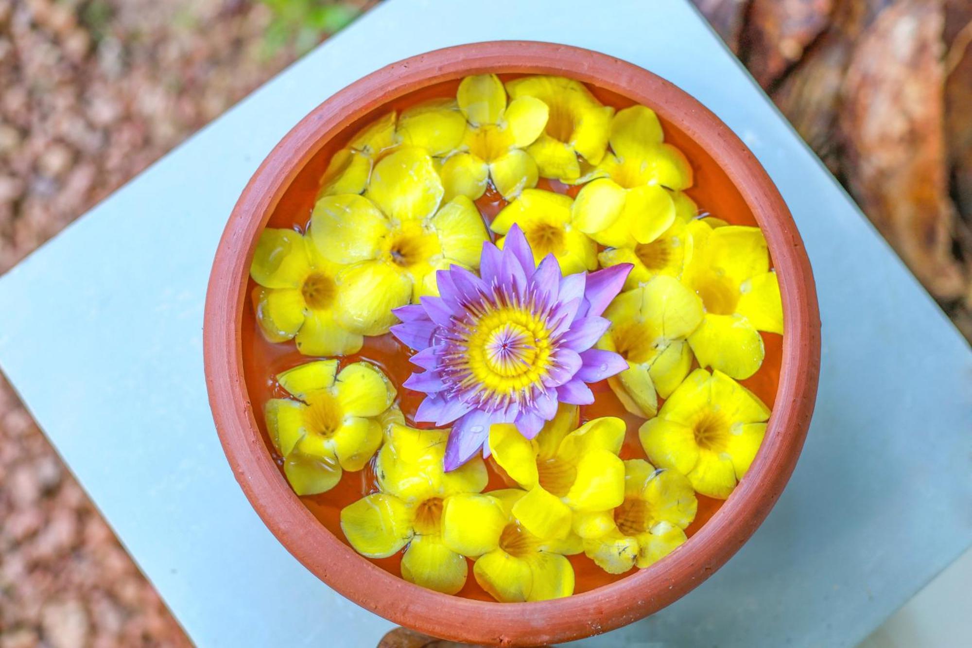 Rockery Villa Ayurveda Μπεντότα Εξωτερικό φωτογραφία