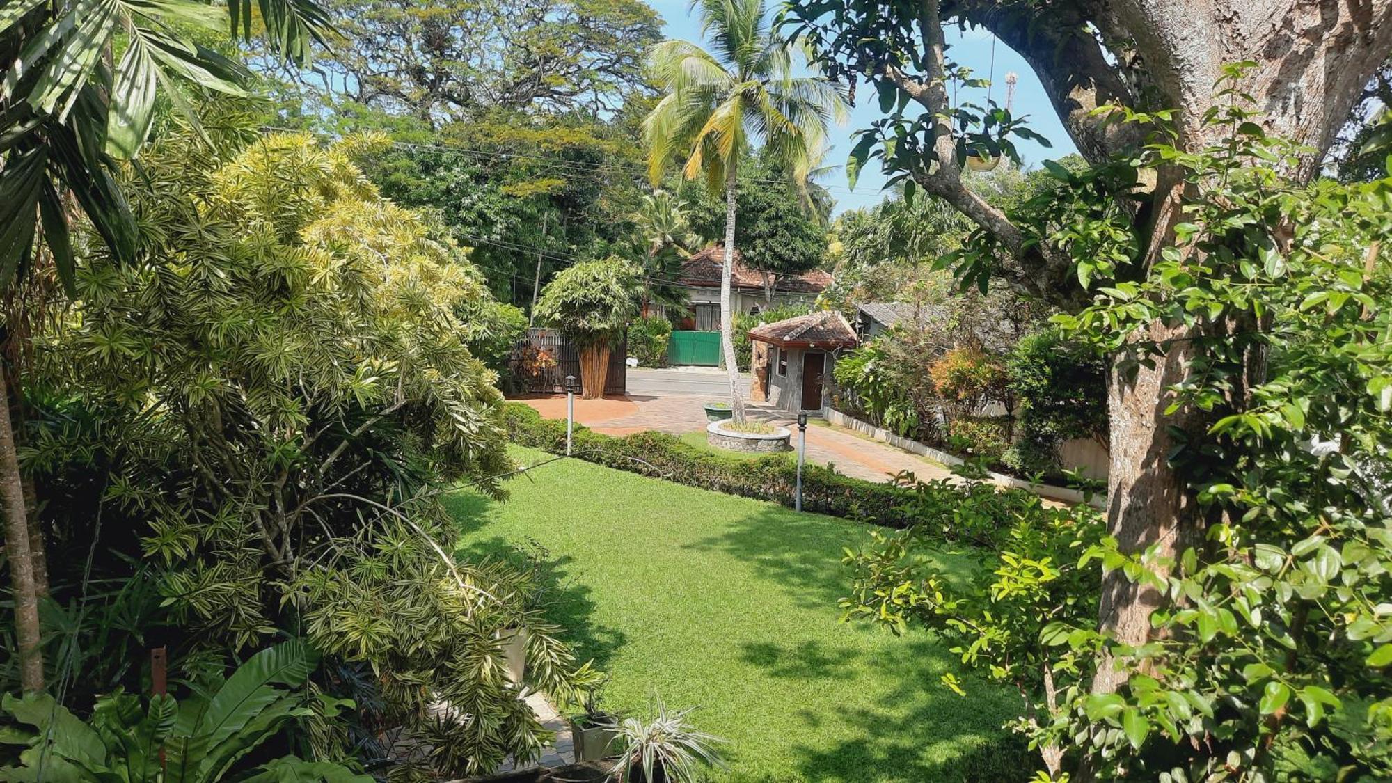 Rockery Villa Ayurveda Μπεντότα Εξωτερικό φωτογραφία
