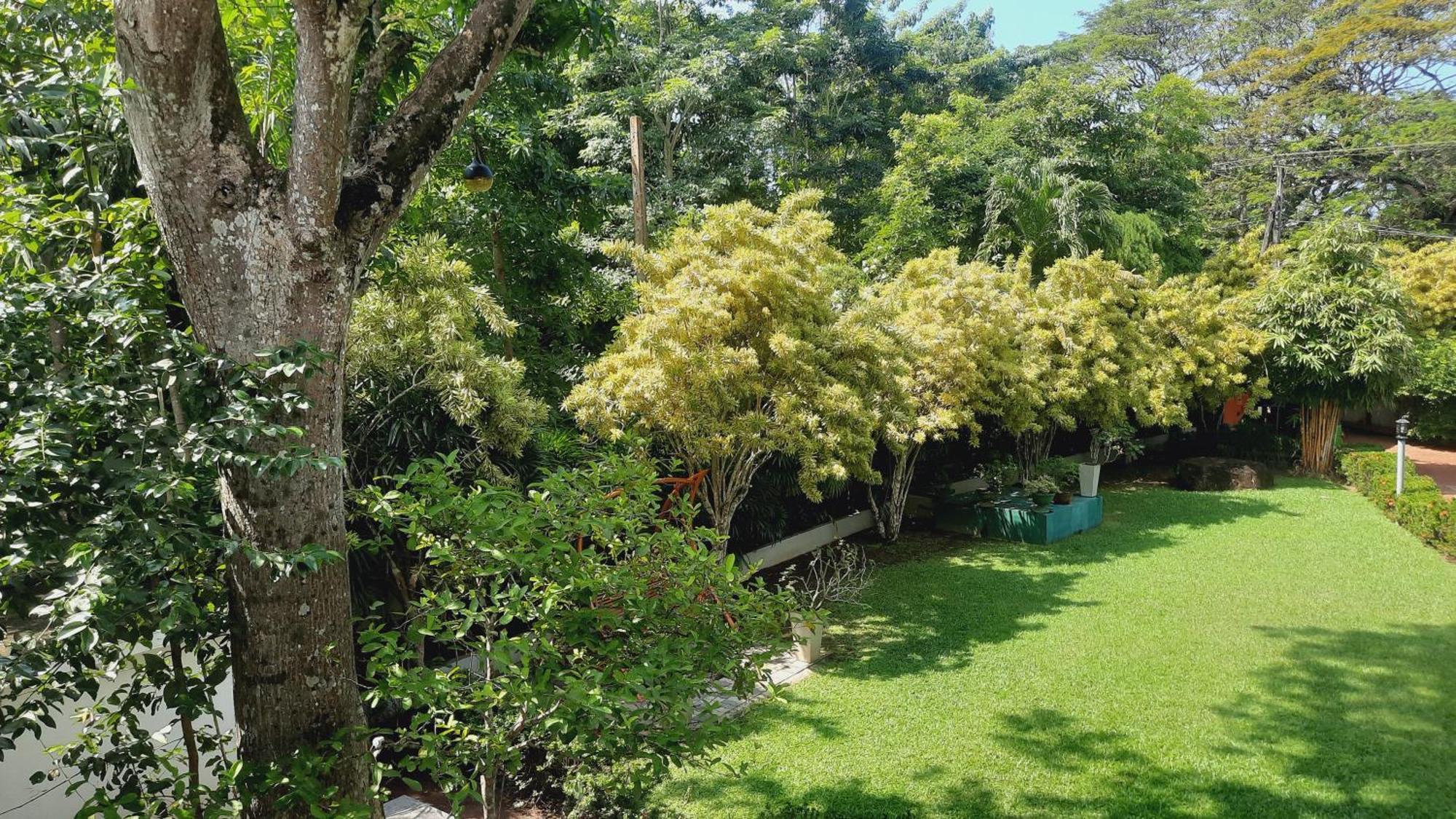 Rockery Villa Ayurveda Μπεντότα Εξωτερικό φωτογραφία
