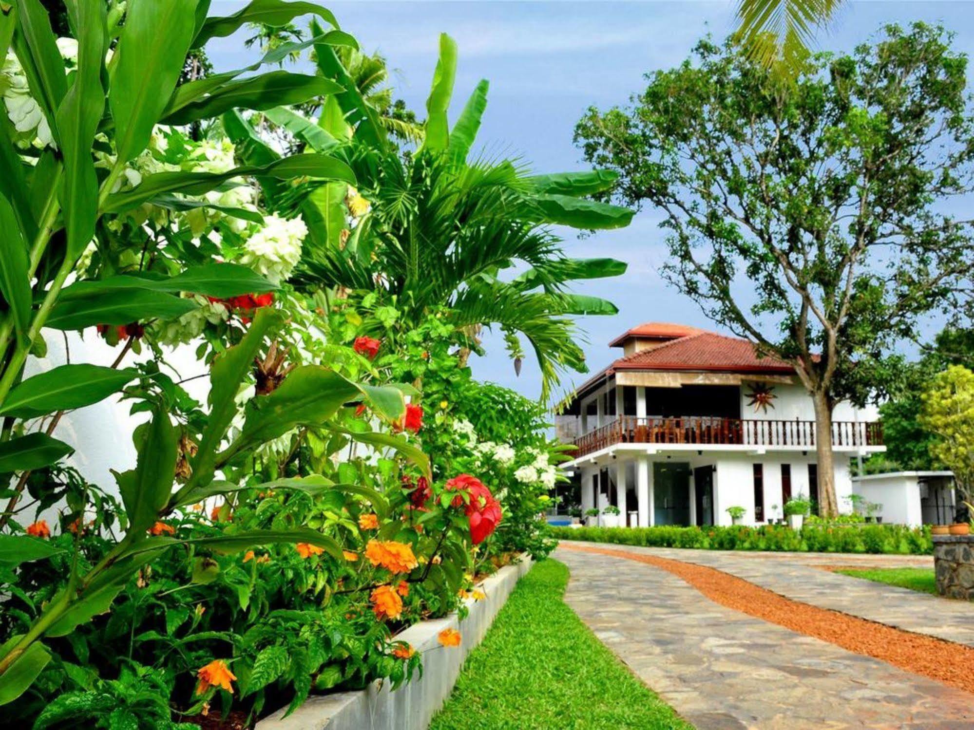 Rockery Villa Ayurveda Μπεντότα Εξωτερικό φωτογραφία